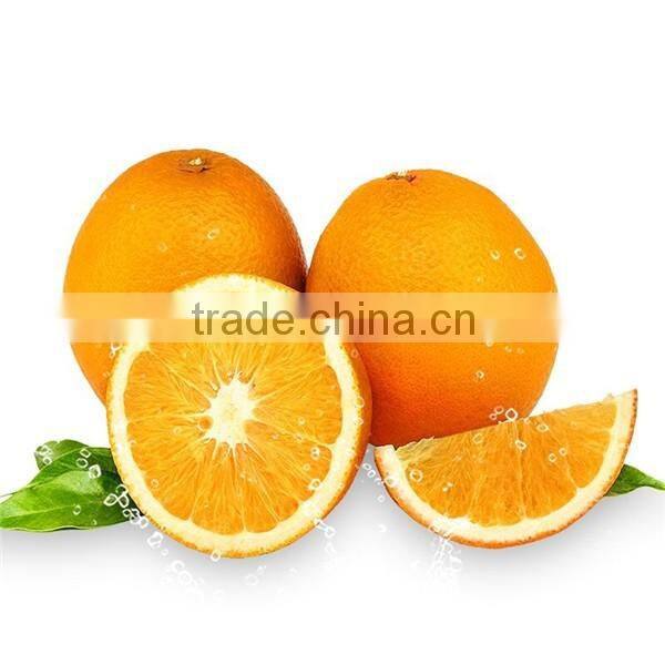 Factory Supply blood orange