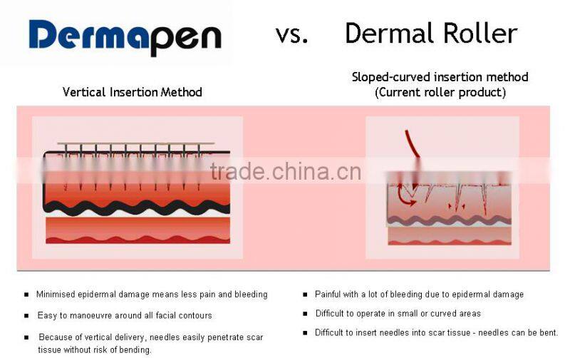 Christmas promotion dermaroller pen 36 or 42 pins pen from Beir DNS60