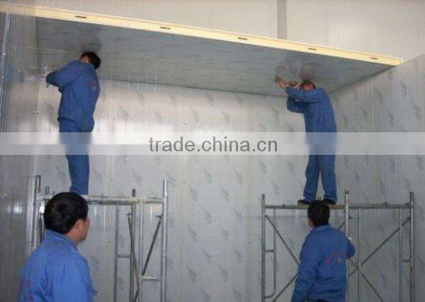 CBFI Building Food Storage Cold Room For Sale