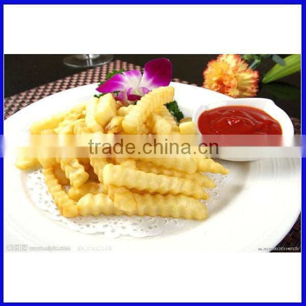 Electric Deep Fryer