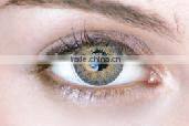 NEO VISION KOREA 14.2 mm colored eye contact lenses