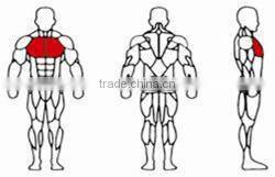 JG-1638 Gym Pear Delt Pec Fly Fitness Equipment