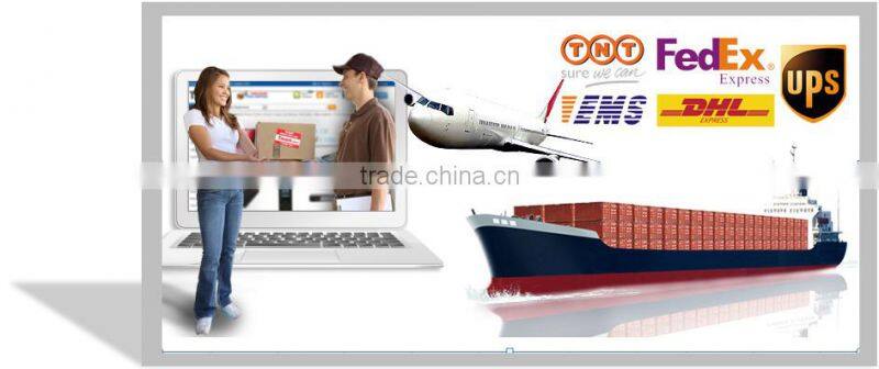 1.9cubic feet 60liter industrial dryer XCT-0AS drying oven with electric motors(high temperature air blast lab machine)