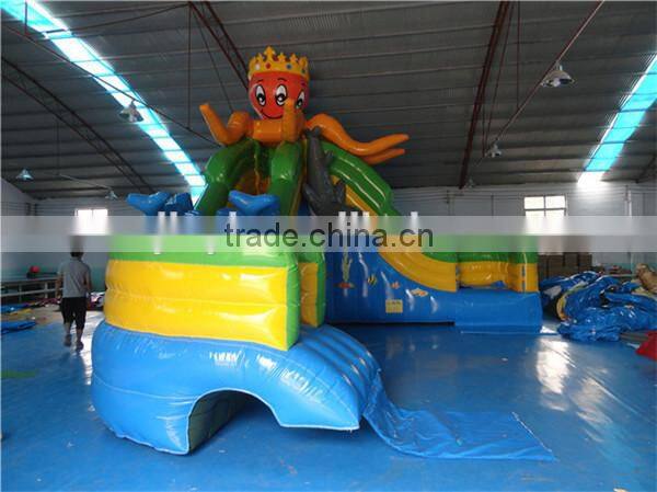 Giant inflatable water slide for kids and adults with low price