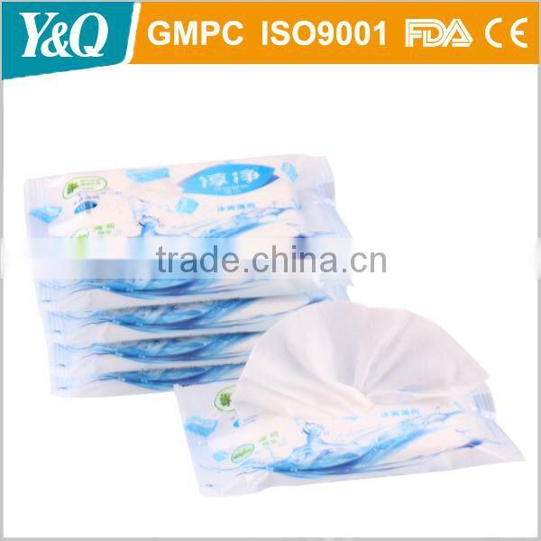 Daily Cleaning Lady Wipes