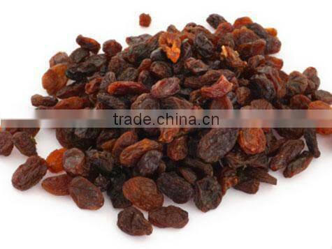 HIGH QUALITY INDUSTRIAL RAISIN