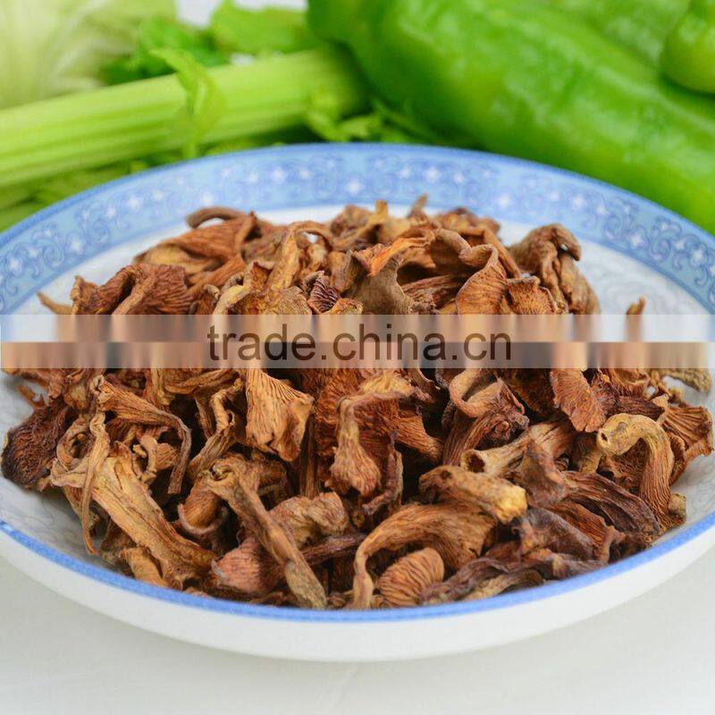 Top Quolity Rare Edible Chanterelles Mushroom Wholesale Price