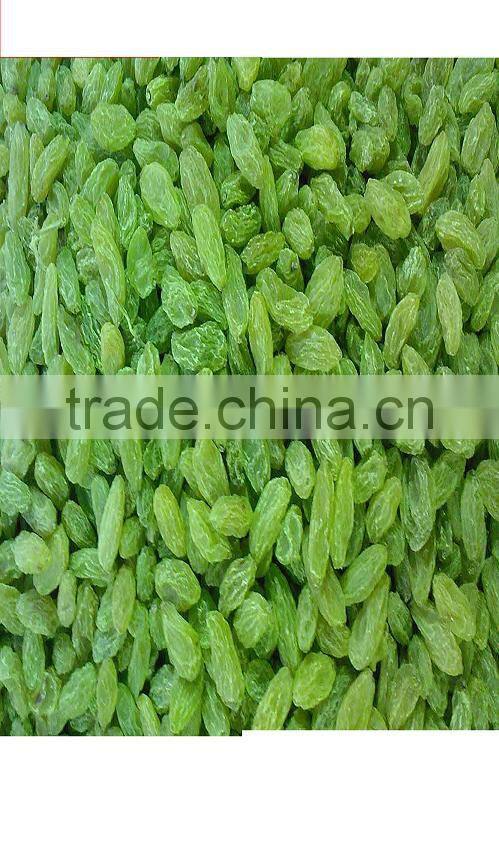 green raisin/yellow raisin /brown raisin /dried fruit /raisin with low price