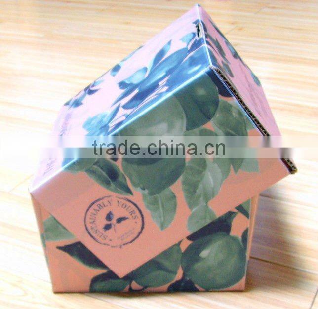 Print Packaging Box