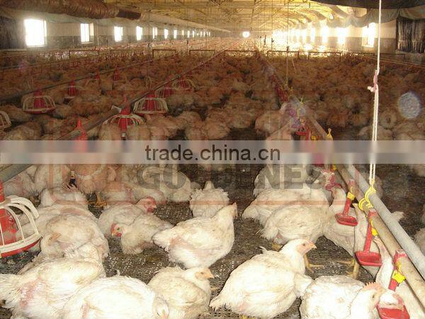 pan feeder for broiler