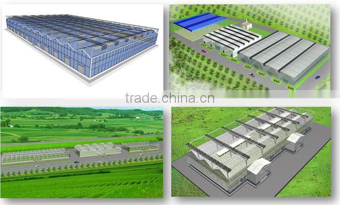 Multi Span Plastic Roofing Sheets Agricultural Commercial Greenhouses for sale