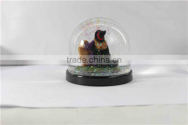 Plastic water globe with custom halloween witch inner