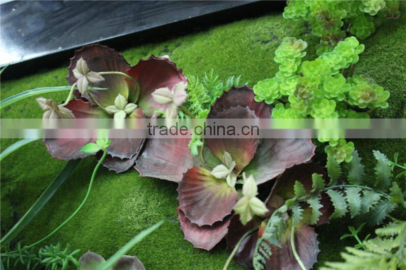 for home garden tiles deco 100*100cm paint color indoor artificial succlent boutique plant wall laminate combinations Ejq10 1203