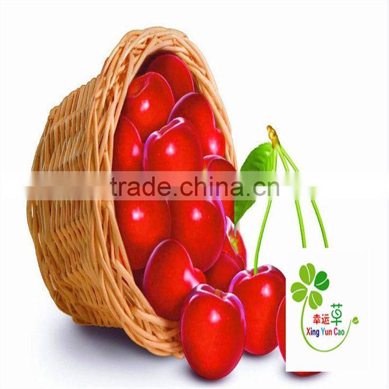 white wicker basket with handle