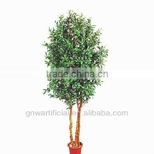 GNW G75 Nurseries Plants and Trees Hot sale in China 2014 Artificial Home Plastic Plant