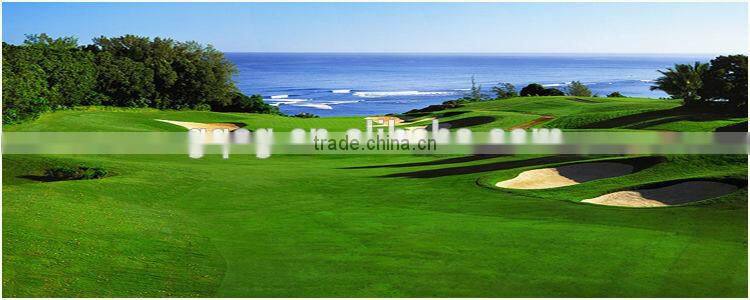 40*70cm Artificial Grass Outdoor Mat