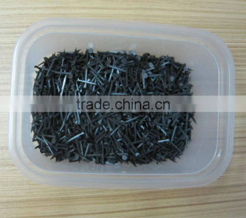 Black Color Shoes Nail Tack from Guangzhou Supplier