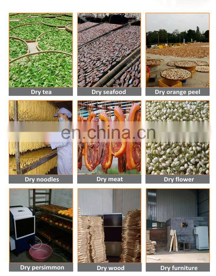 drying machine dehumidifier drying food vegetables wood