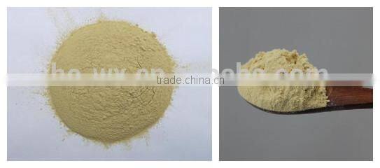vacuum powder continuous dryer for almond powder
