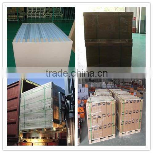 12V Two Lamp Solar Garden Light/Solar Courtyard Light facrory price