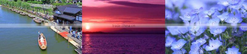 JAPAN USED PARTS "TAIL LENS" FOR TOYOTA, NISSAN, HONDA, MITSUBISHI, SUZUKI, MAZDA ETC.