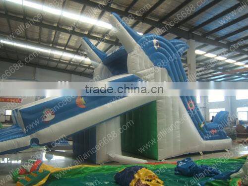 water slide with water pool water game