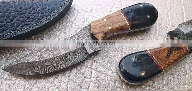 Fixed blade Custom Damascus skinneri Hunting knife wood handle