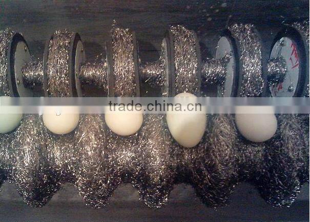 lowest price egg washing machine/hen egg cleaning machine/automatic egg cleaner