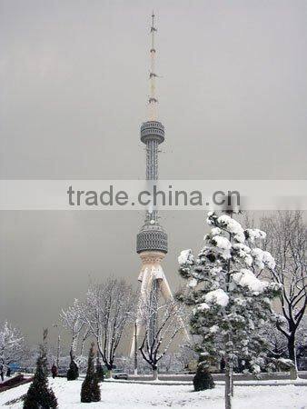 Telecommunication Tower