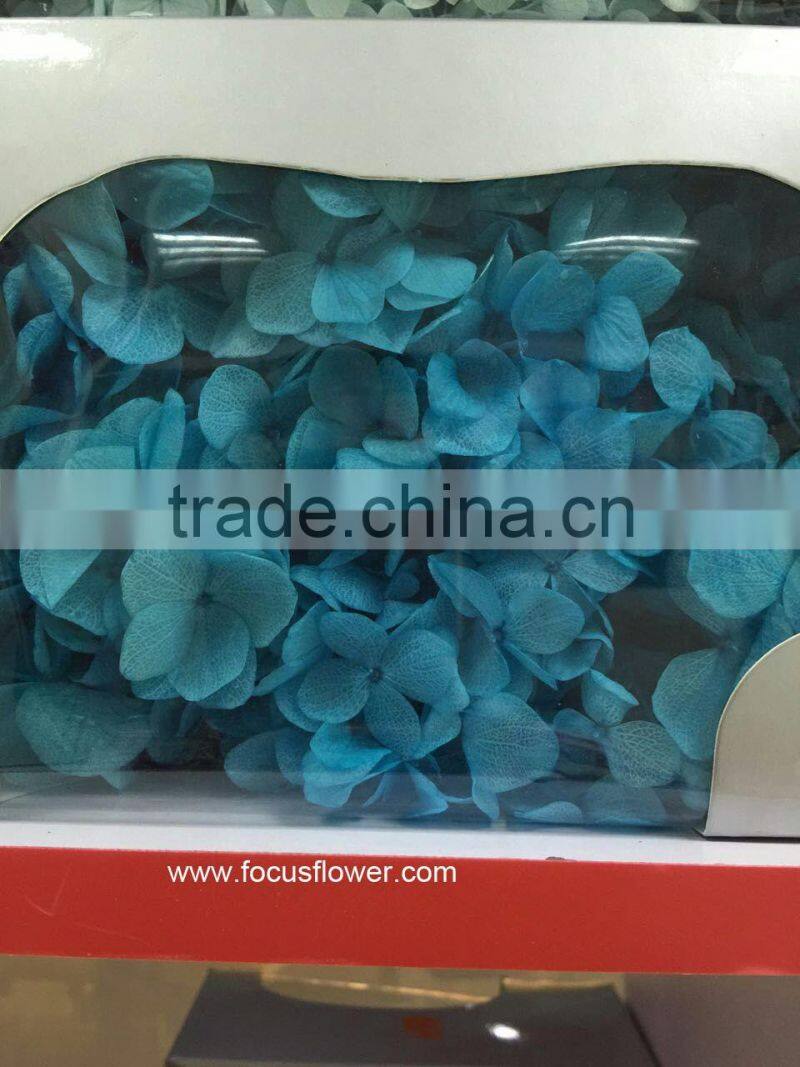 Top Quality Flower Export Preserved Flower Colorful Wholesale Artificial Hydrangea Flowers