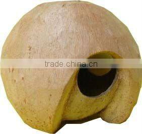 unique design coconut bird house