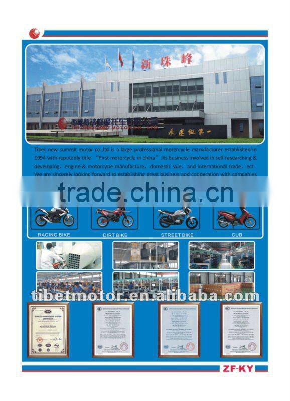 motorcycle 110CC ALIEN CUB chopper motorcycle (ZF110-8VIII)