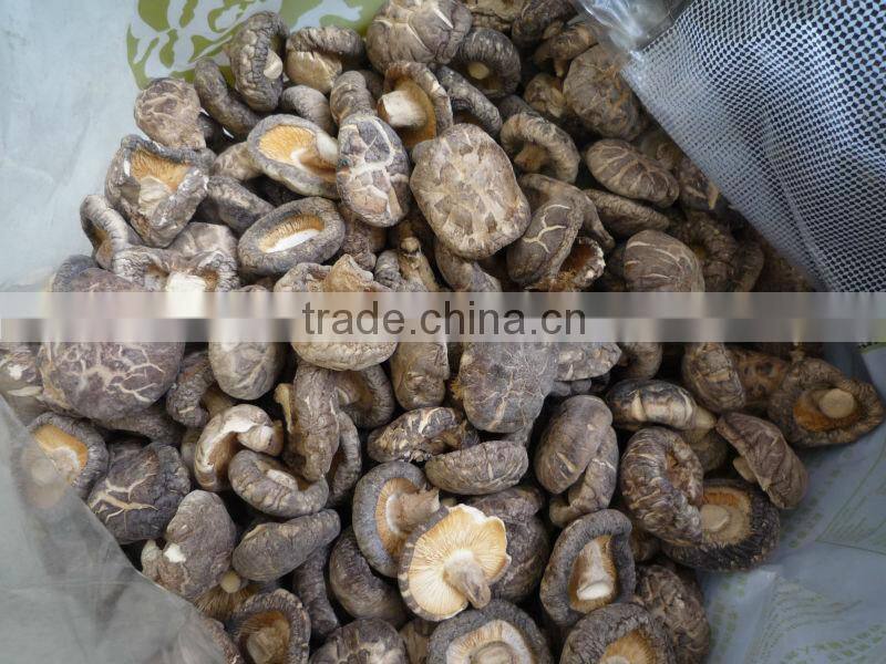 Edible dried shiitake mushroom flake
