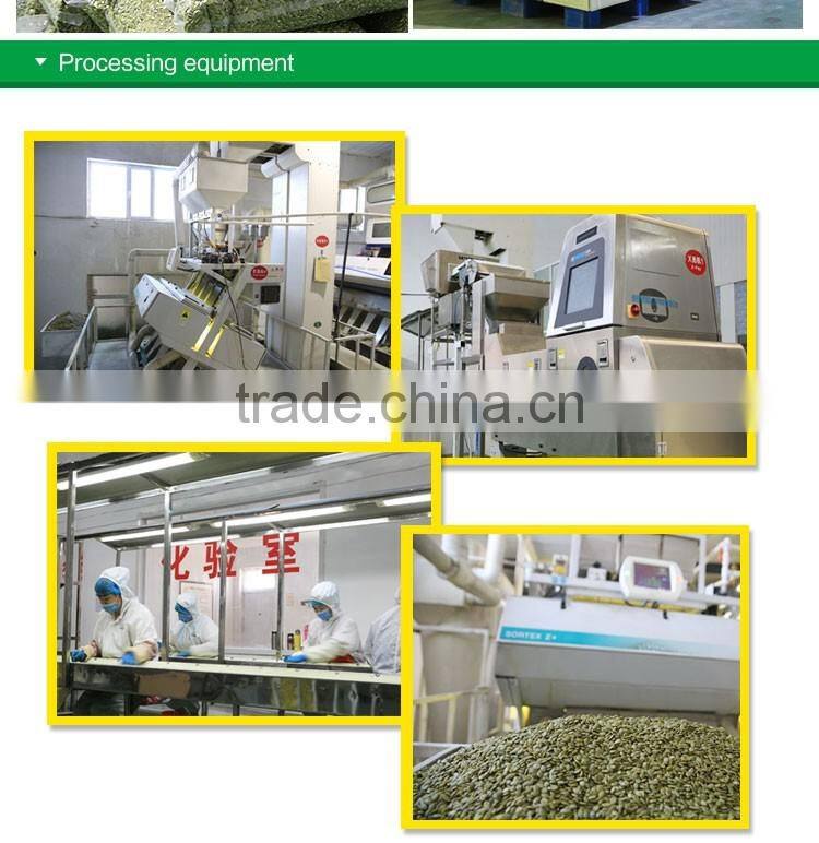 shelled and roasted Chinese green pumpkin seed kernels New Crop