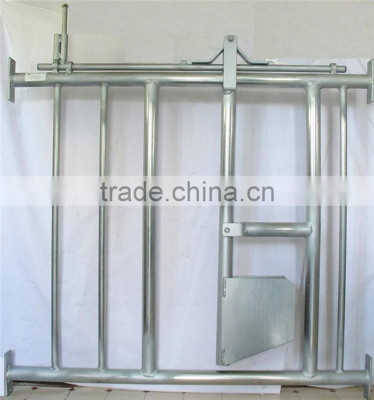 Farm livestock equipment for cow loops cow cubicle