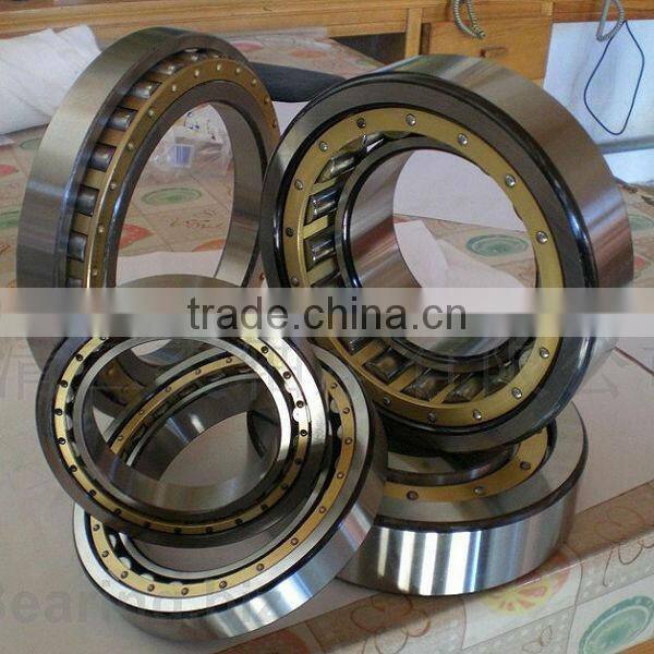 separable single row cylindrical roller RN206m bearing