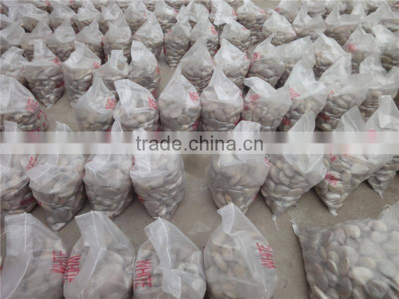 Tumbled Snow White Pebble Stone for Landscaping Paving