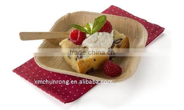 Bamboo Square Plates For Snack