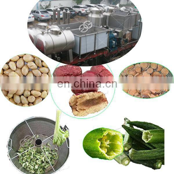 Small Stainless Steel Vacuum Deep Fryer Fruit Vacuum Frying Machine