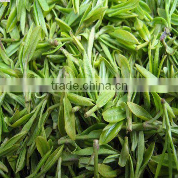 Jun shan yin zhen yellow tea organic traditional Chinese yellow tea