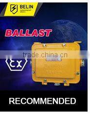 BAZ51 Explosion Proof Dual Hids Ballasts