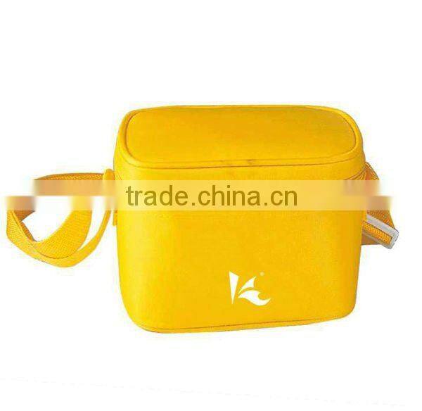 cooler bag for frozen food