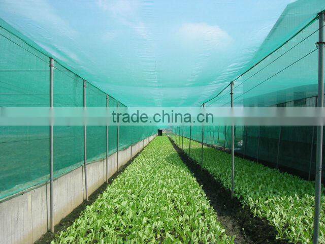 HDPE hot sell anti insect net