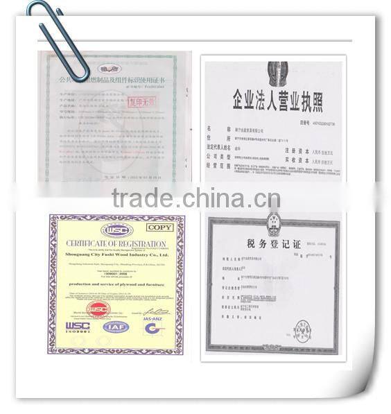 White Melamine Cheap Prices Particle Board