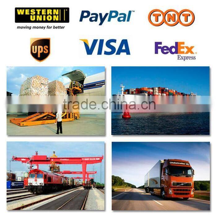 China manufacture supplier stainless steel watch spring bar high quality fitness spring bar, watch band pins