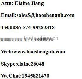 HSENG airbrush nail stencil AS18-2