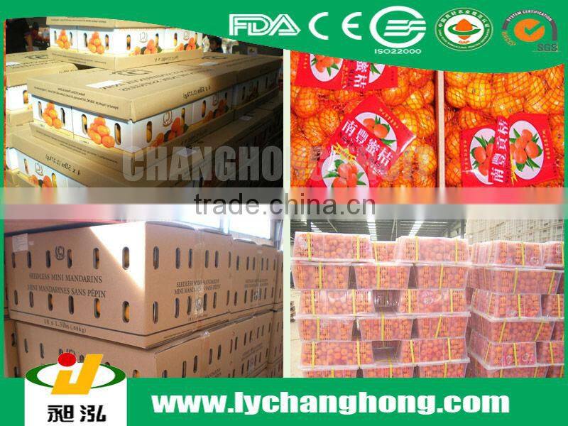 Yellow orange fruit/names of red fruits