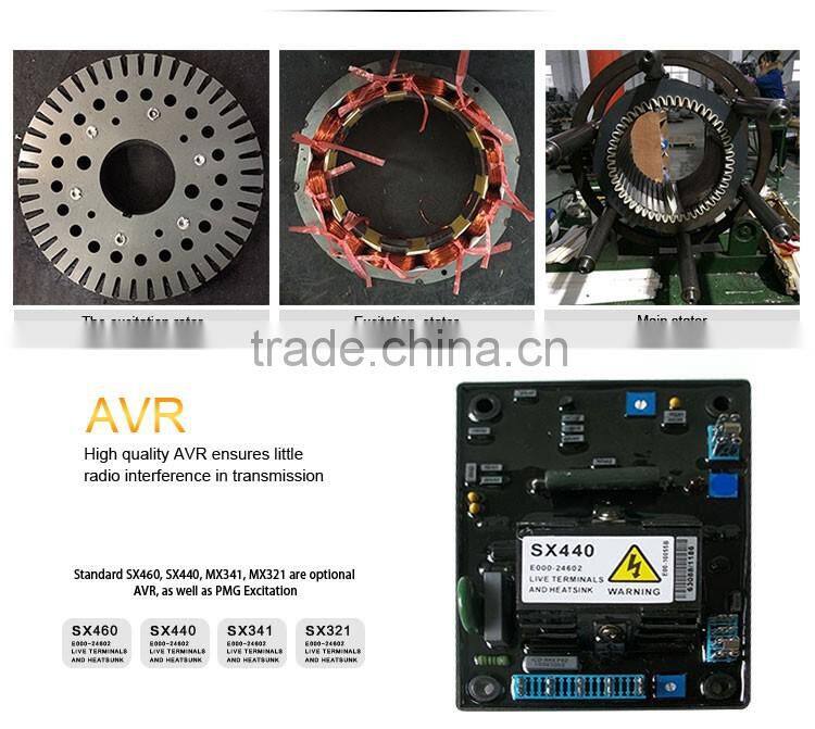 High Quality Low Speed Dynamo Alternator Watt