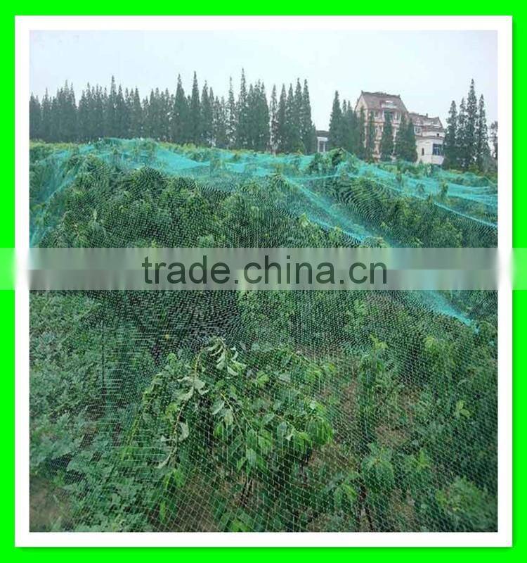China manufacturer supply anti bird protection net/bird mist net/bop stretch net