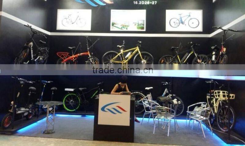 Mountain e-bike, sports style, 2014 new model